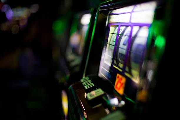 Book of Dead slot interface on tigreal platform